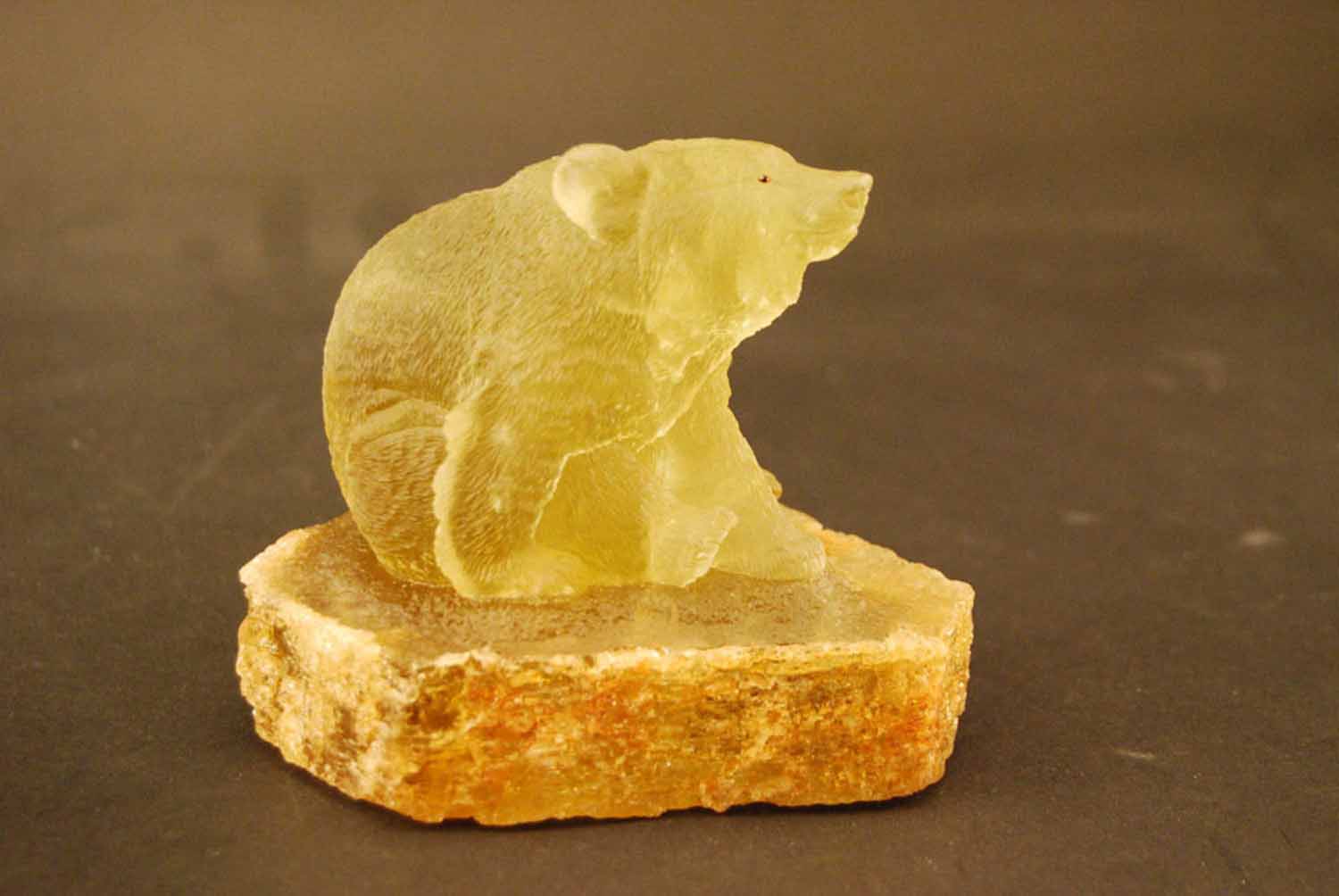 Junger Bär