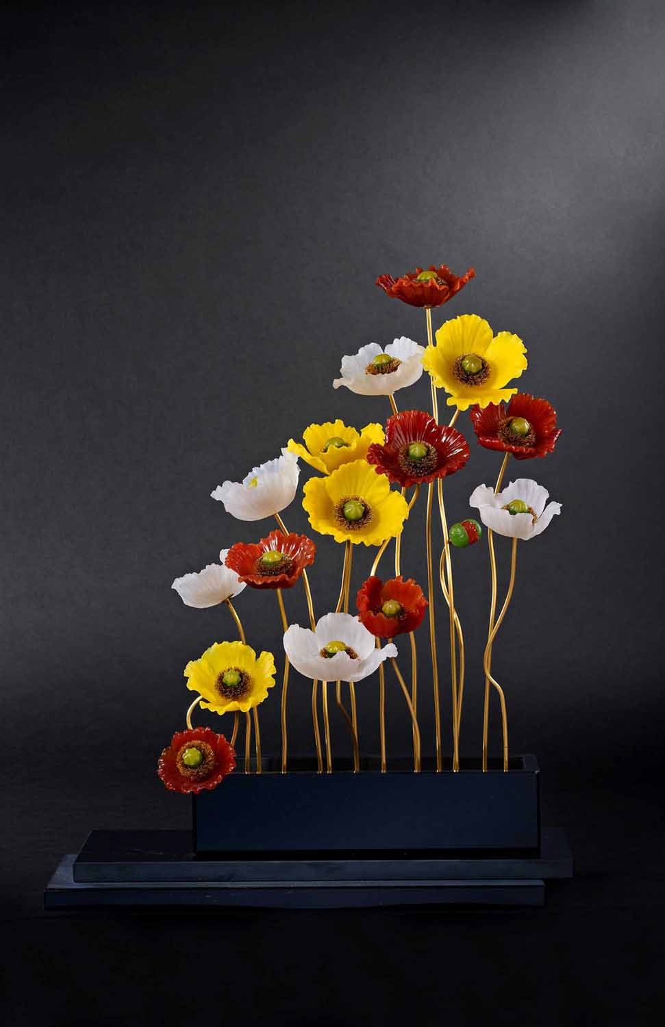 Iceland Poppy