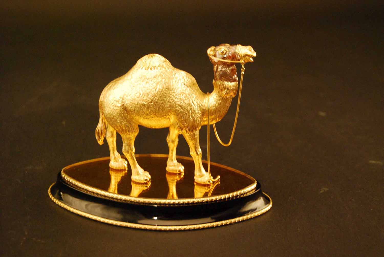 Donald the Bactrian camel