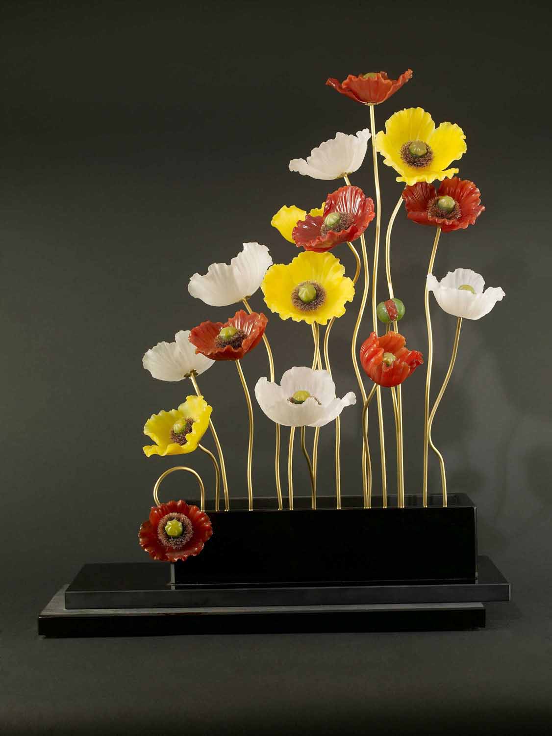 Iceland Poppy